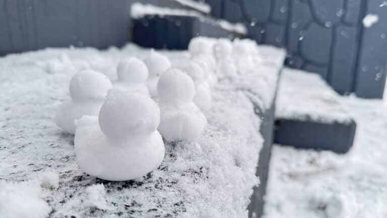 Snow Duck Family on the Stairs