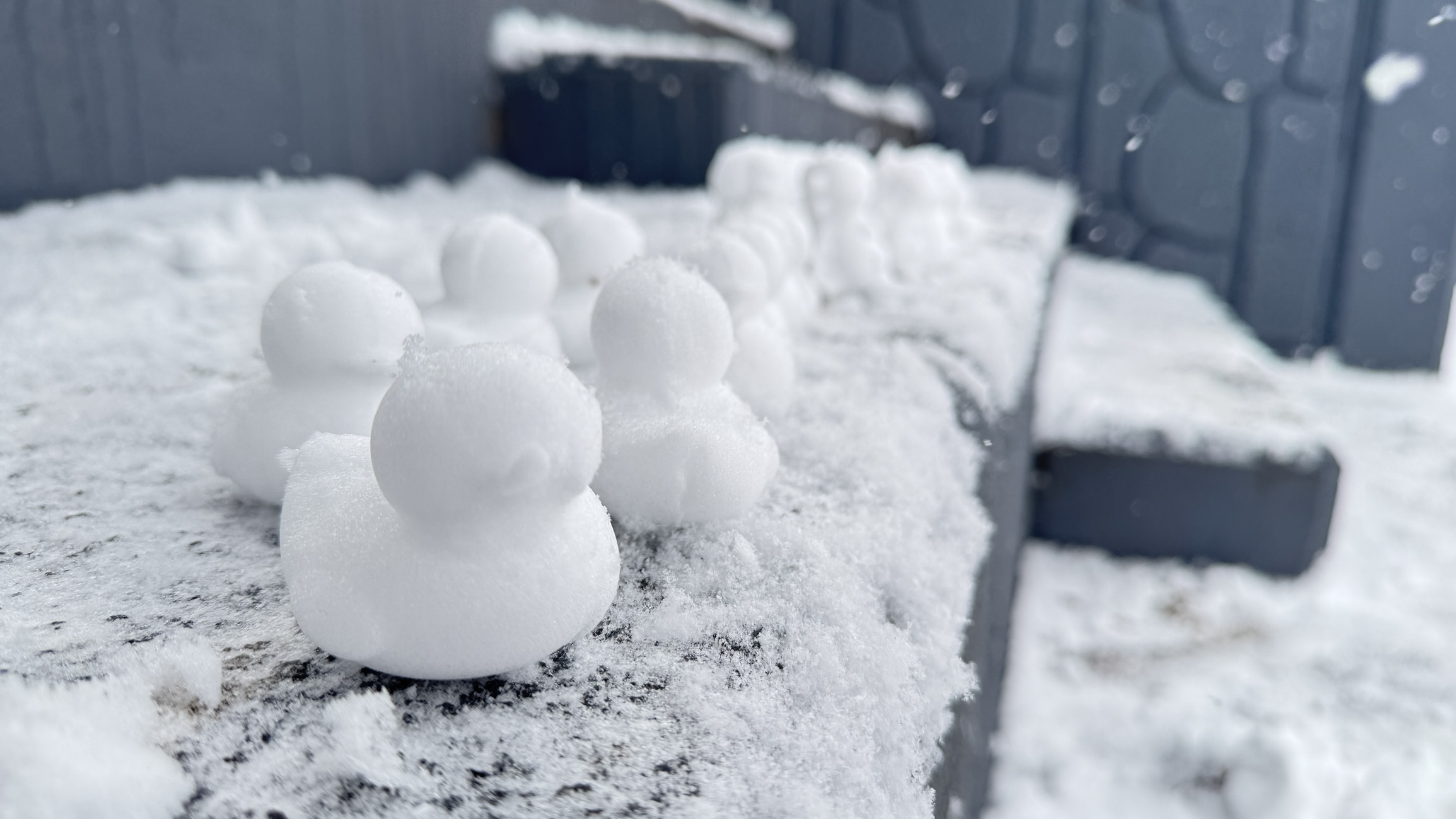 Snow Duck Family on the Stairs