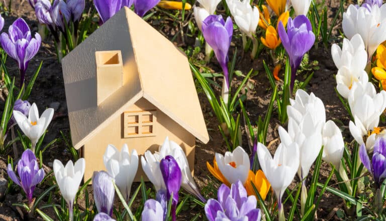 Symbolic wooden house among blooming crocuses on a spring morning
