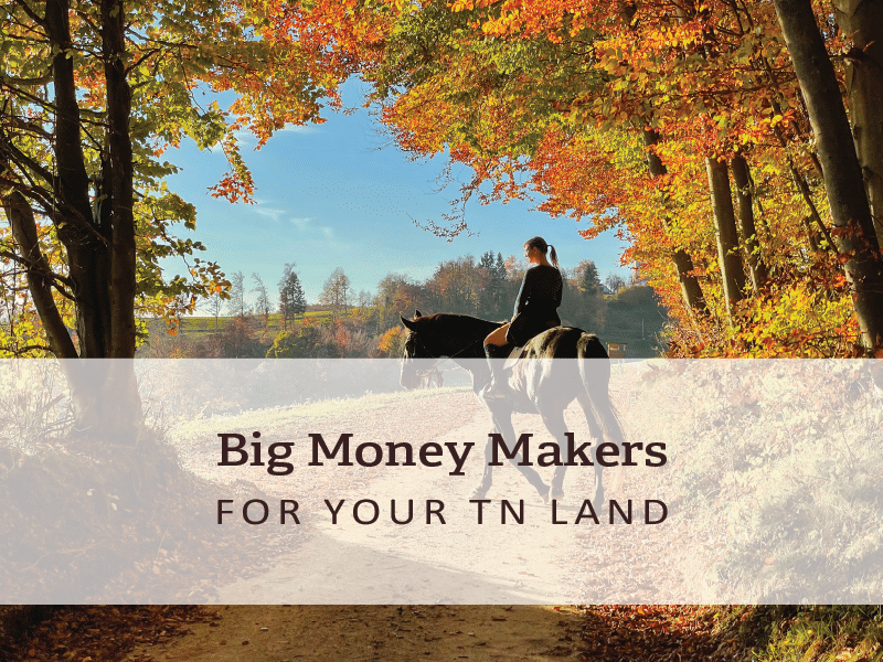 Big Moneymakers for Your Tennessee Land