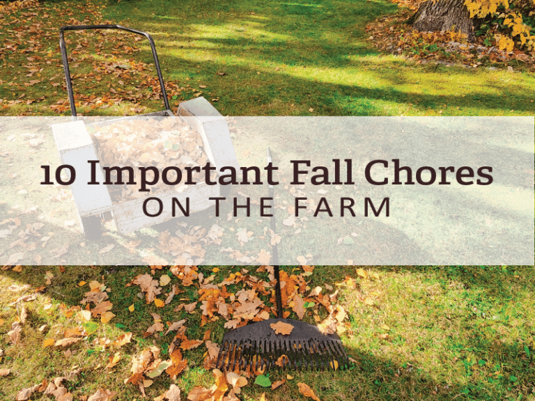 Fall Chores