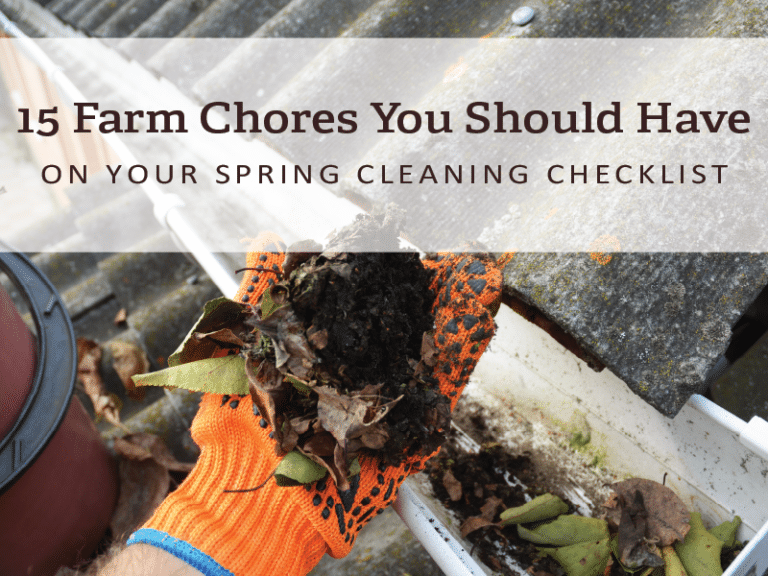 An orange glove gripping dirt from the roof.