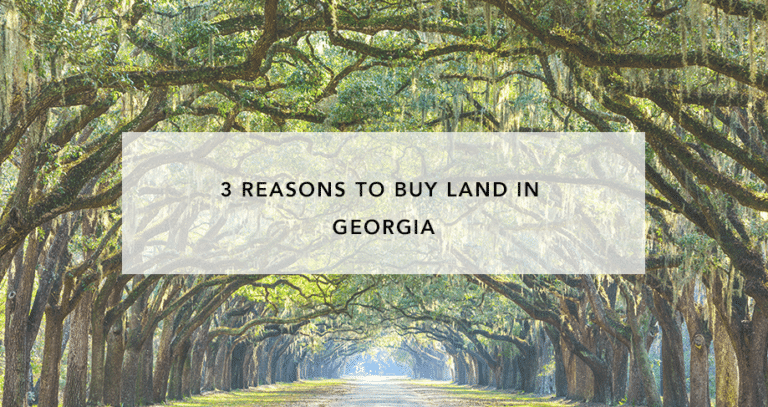 3 Reasons to Buy Land in Georgia