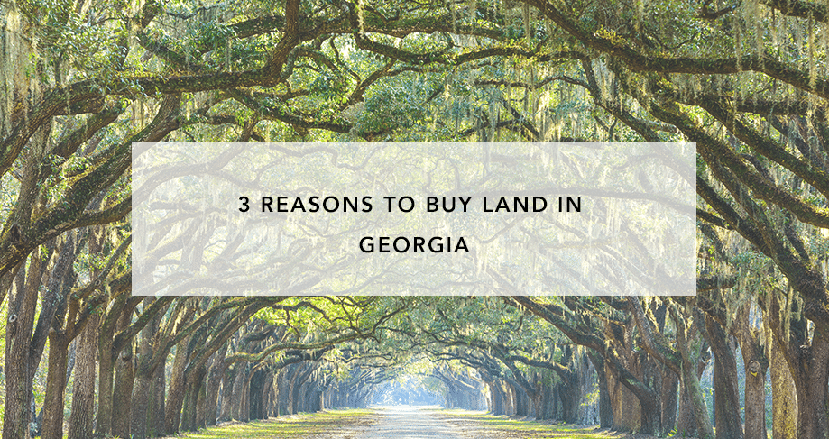 3 Reasons to Buy Land in Georgia