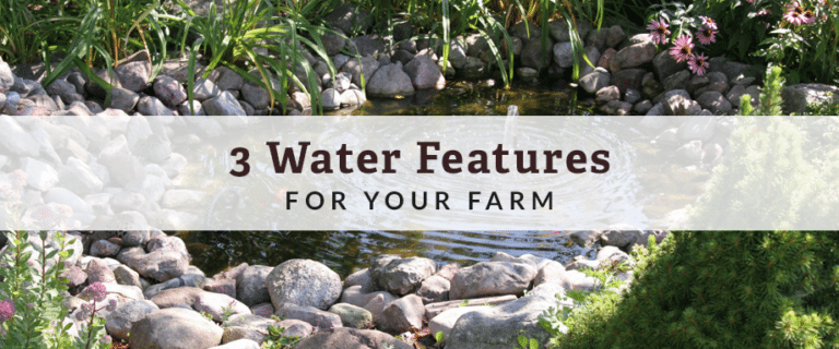 water features