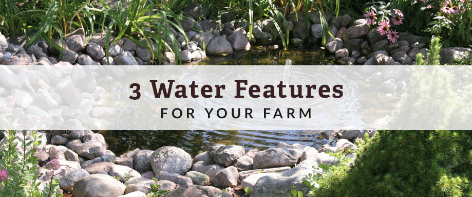 water features