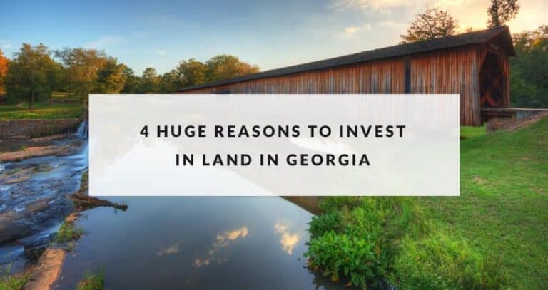 invest in georgia image