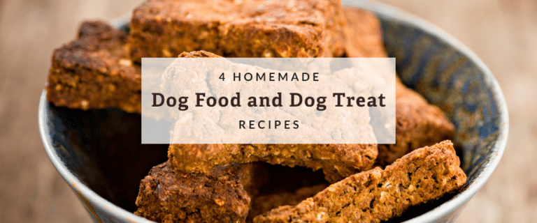 homemade dog food recipes