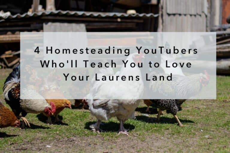4 Homesteading YouTubers Who'll Teach You to Love Your Laurens Land