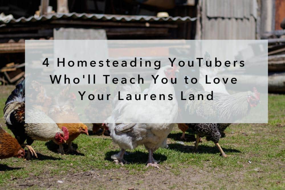 4 Homesteading YouTubers Who'll Teach You to Love Your Laurens Land