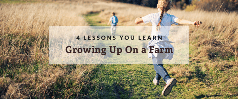 rural land, rural living, owner financed land