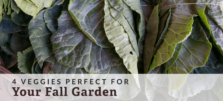 rural garden planning
