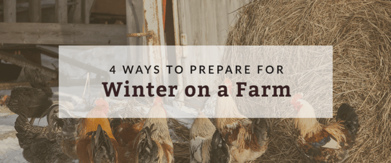 farm tips, owner financed land, rural land
