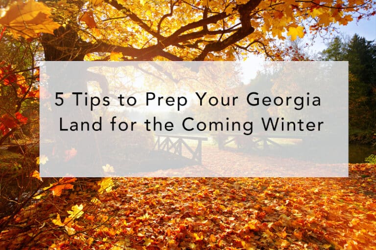 5 Tips to Prep Your Georgia Land for the Coming Winter