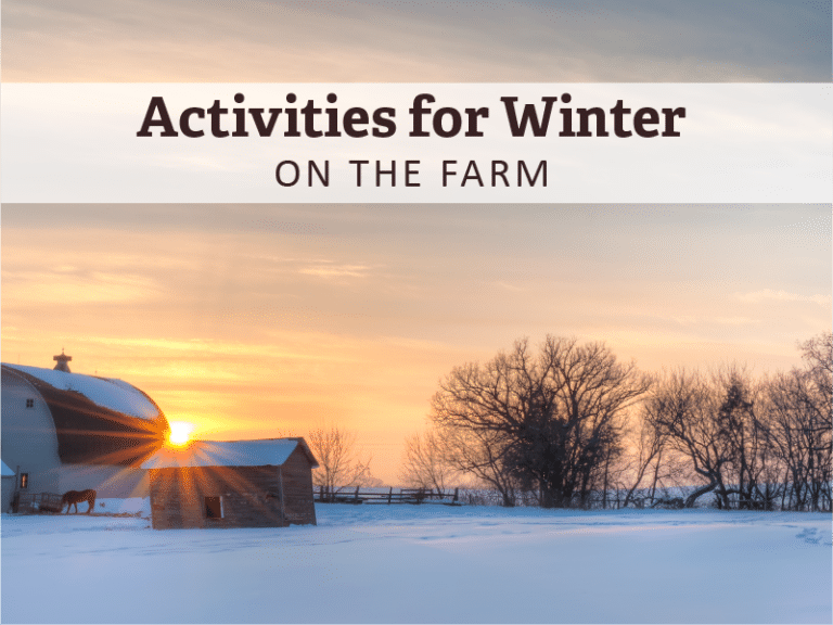 Snowy Farm field