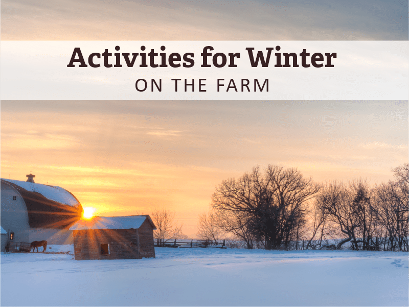 Snowy Farm field