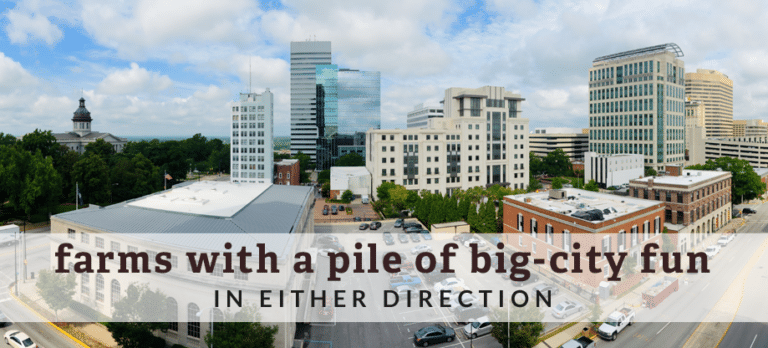 Big City Fun Near Rural South Carolina Farms