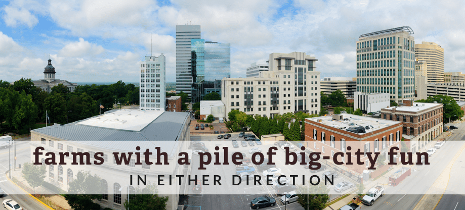 Big City Fun Near Rural South Carolina Farms