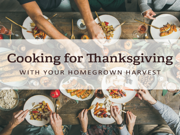 Cooking for Thanksgiving with Your Homegrown Harvest