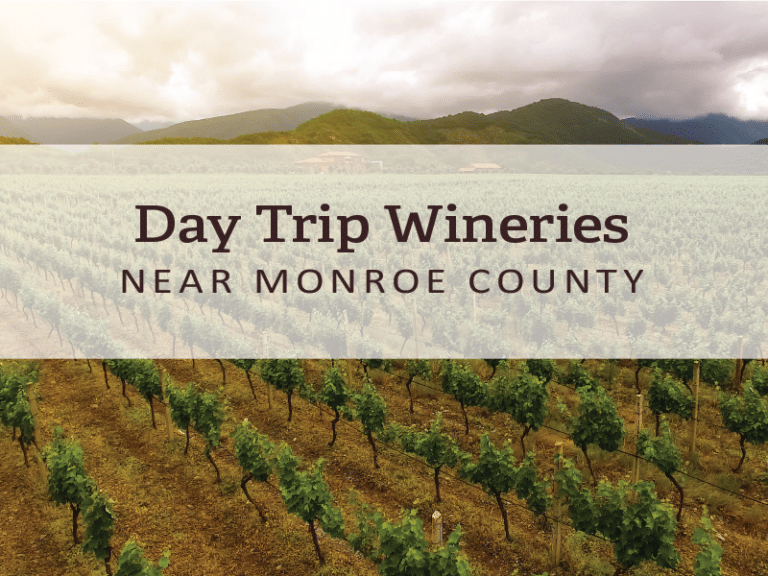 Day Trip Wineries Near Monroe County