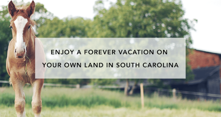 Enjoy a Forever Vacation on Your Own Land in South Carolina