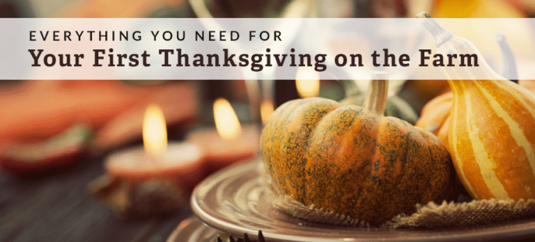 first rural thanksgiving