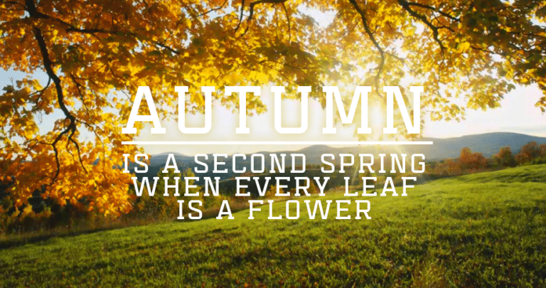 FALL is coming. All farm prices in South Carolina will FALL by $2,500!