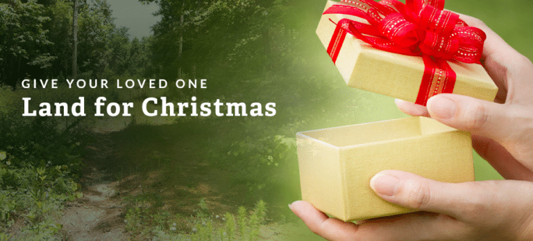 christmas gift land