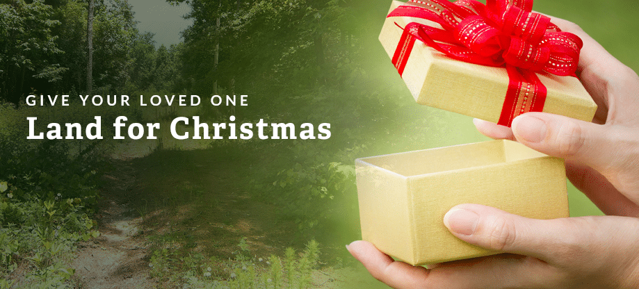 christmas gift land
