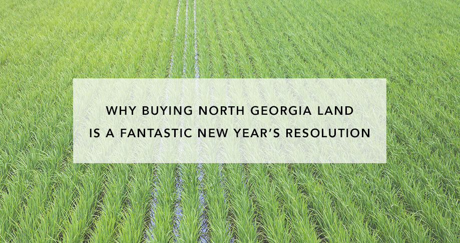 Why Buying North GA Land Is a Fantastic New Year's Resolution