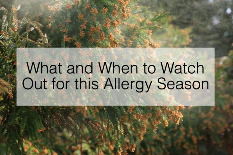 What and When to Watch Out for this Allergy Season