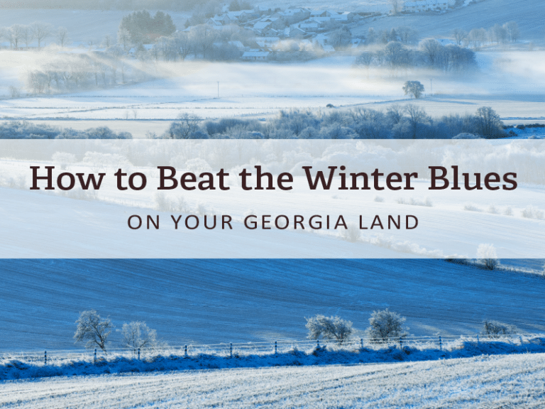 An image endorsing how to beat winter blues