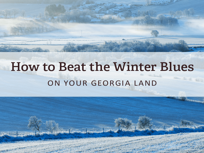 An image endorsing how to beat winter blues