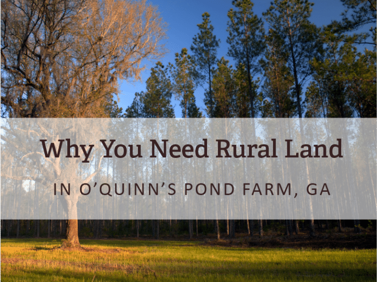 Why You Need Rural Land in O’Quinn’s Pond Farm, GA