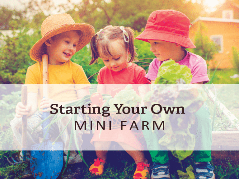 A photo of kids in the garden