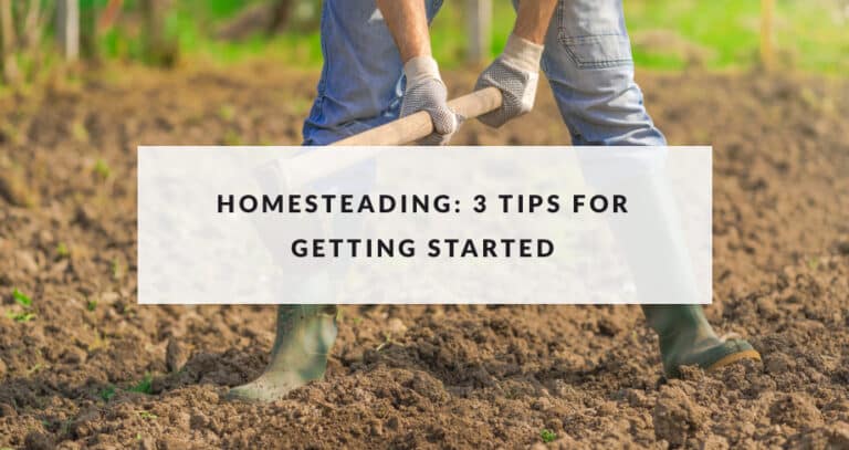homesteading