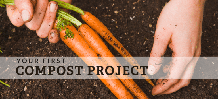 starting a compost pile