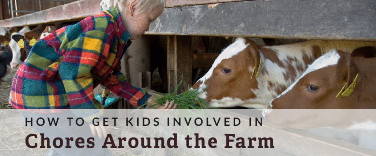 kids doing farm chores