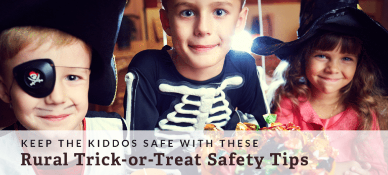 trick or treat safety