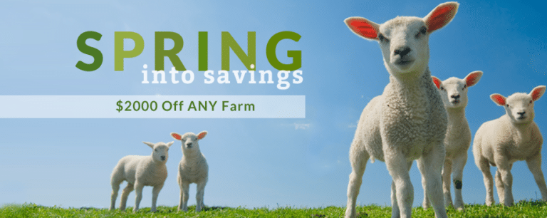 spring land deal