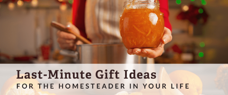 gifts for homesteaders