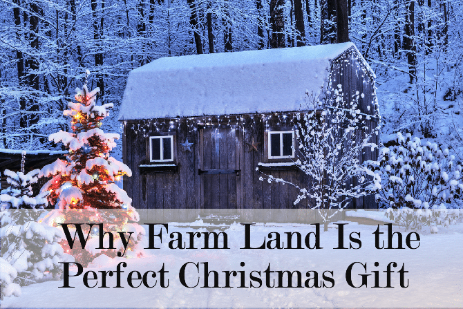 A barn house covered in snow