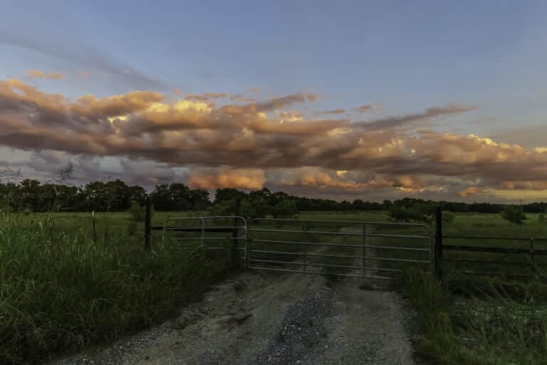 More Americans are Moving to Rural Alabama and Georgia