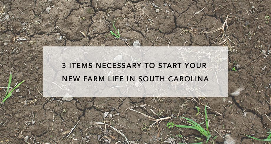 3 Items Necessary to Start Your New Farm Life in South Carolina