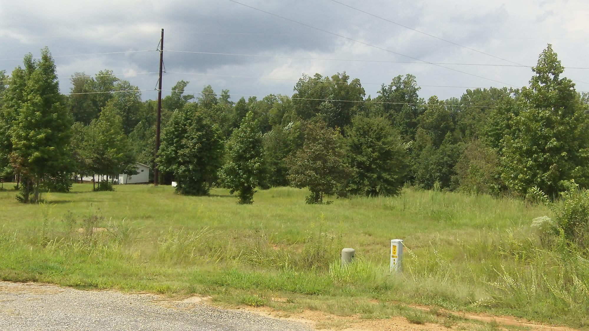 Land for Sale in Meriwether County, Georgia | Hurdle Land and Realty Inc.