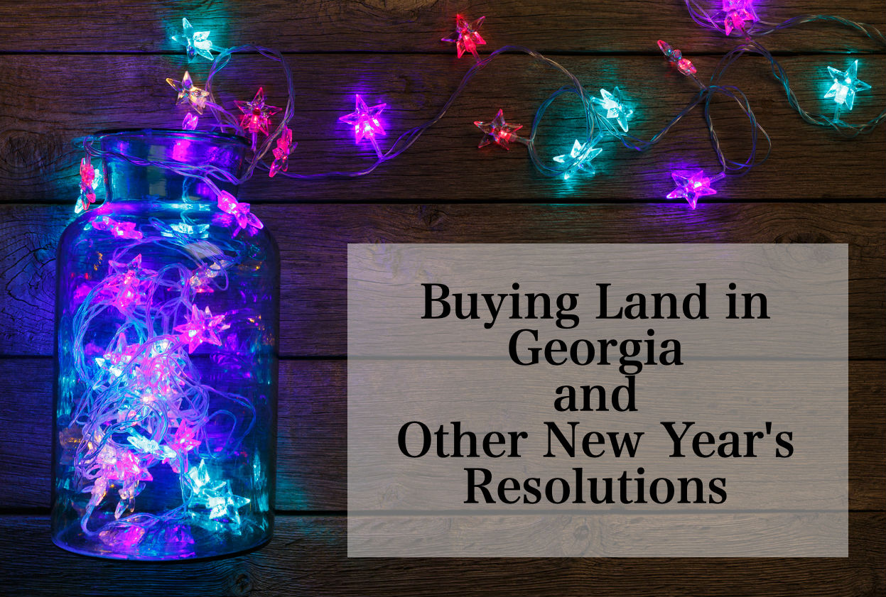 Buying Land in Georgia and Other New Year's Resolutions