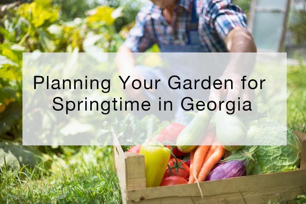 Planning Your Garden for Springtime in Georgia