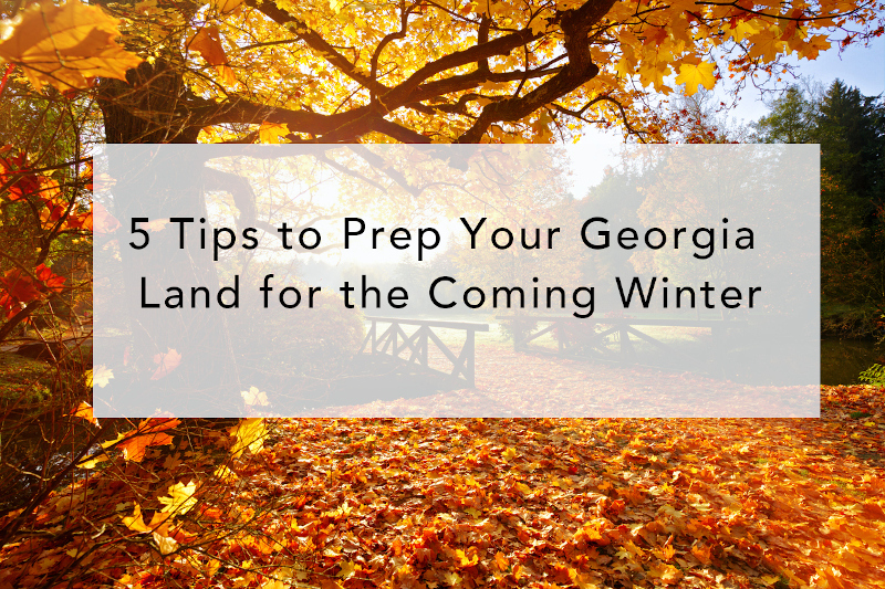 5 Tips to Prep Your Georgia Land for the Coming Winter