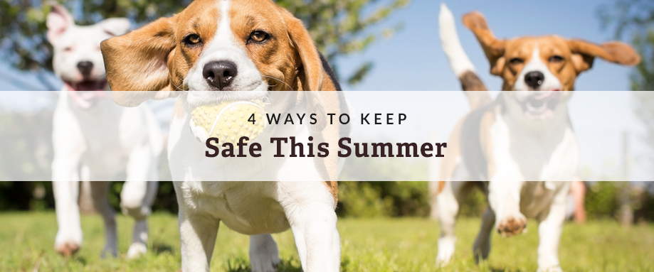 keep pets safe this summer