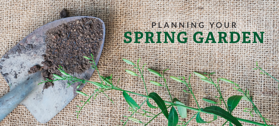 planning spring garden